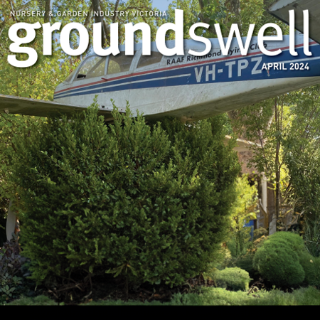 groundswell Latest Issue - MORE INFO