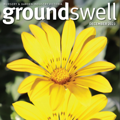 groundswell Latest Issue