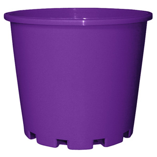 1.1L Squat (140mm)-Purple