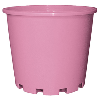 1.1L Squat (140mm)-Rose Pink