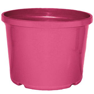 1L Squat (TL) (140mm)-Cerise Pink