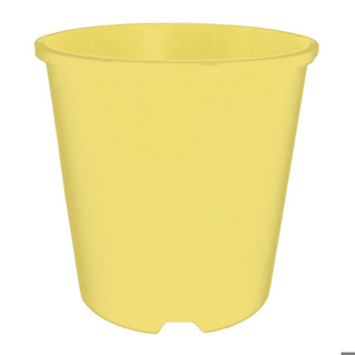 1.9L Capilliary Pot (TL) (150mm)-Lemon Yellow