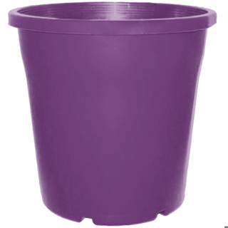 4L Euro (TL) (200mm)-Pearl Purple