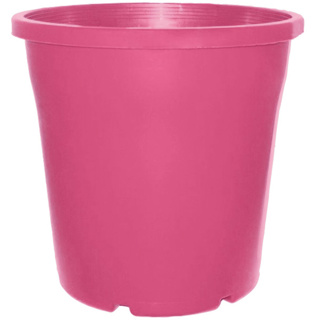 4L Euro (TL) (200mm)-Cerise Pink