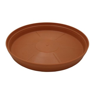 260mm Country Saucer-New Clay
