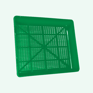 Seedling Tray (TL)-Lime Green