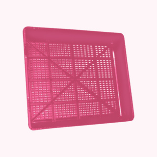 Seedling Tray (TL)-Cerise Pink