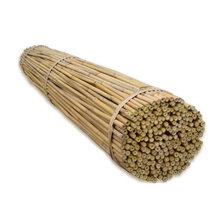 45cm Bamboo Cane (8-10mm)