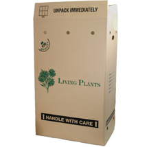 900 GCP Plant Cartons