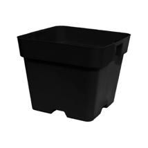 0.5L Square Pot (100mm)-BLACK
