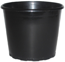 0.24L Squat Pot (80mm)