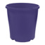 1.4L Eco Pot (140mm)-Adelaide Purple