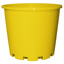 1.1L Squat (140mm)-Dark Yellow