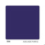 4.7L Deluxe Pot (200mm)-Adelaide Purple