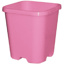 0.55L Square  (TL) (95mm)-Cerise Pink